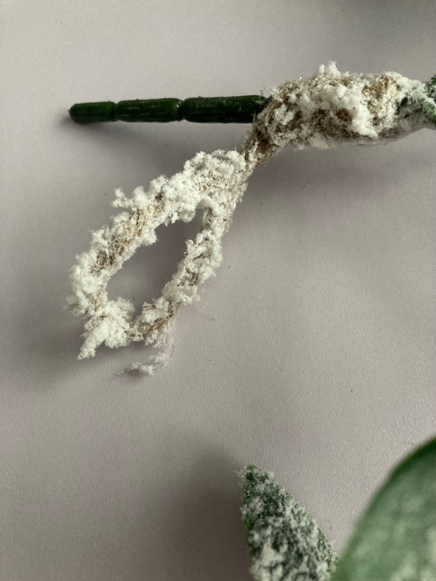 Snowy Hanging Mistletoe Bunch