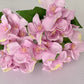 Lilac Hydrangea bunch
