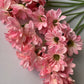 Pink Large Gerbera Bunch