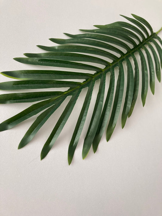 62cm Areca Palm Leaf