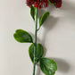 Deep Red Sedum Spray