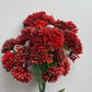 Deep Red Sedum Spray