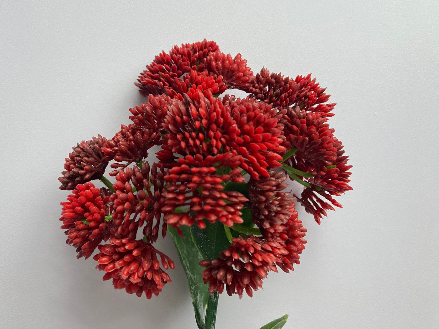 Deep Red Sedum Spray