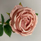 Pink Globe Rose