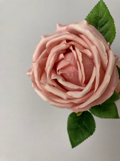 Pink Globe Rose