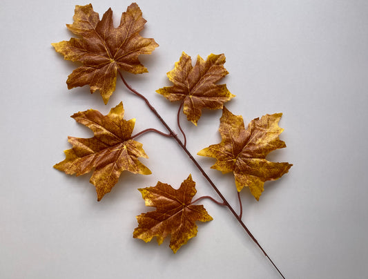 Brown Maple Leaves