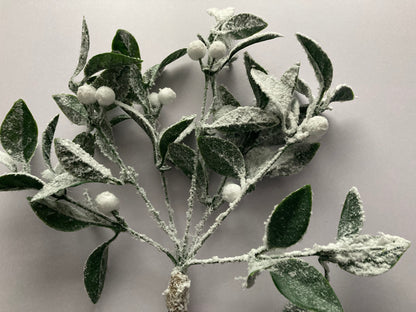 Snowy Hanging Mistletoe Bunch