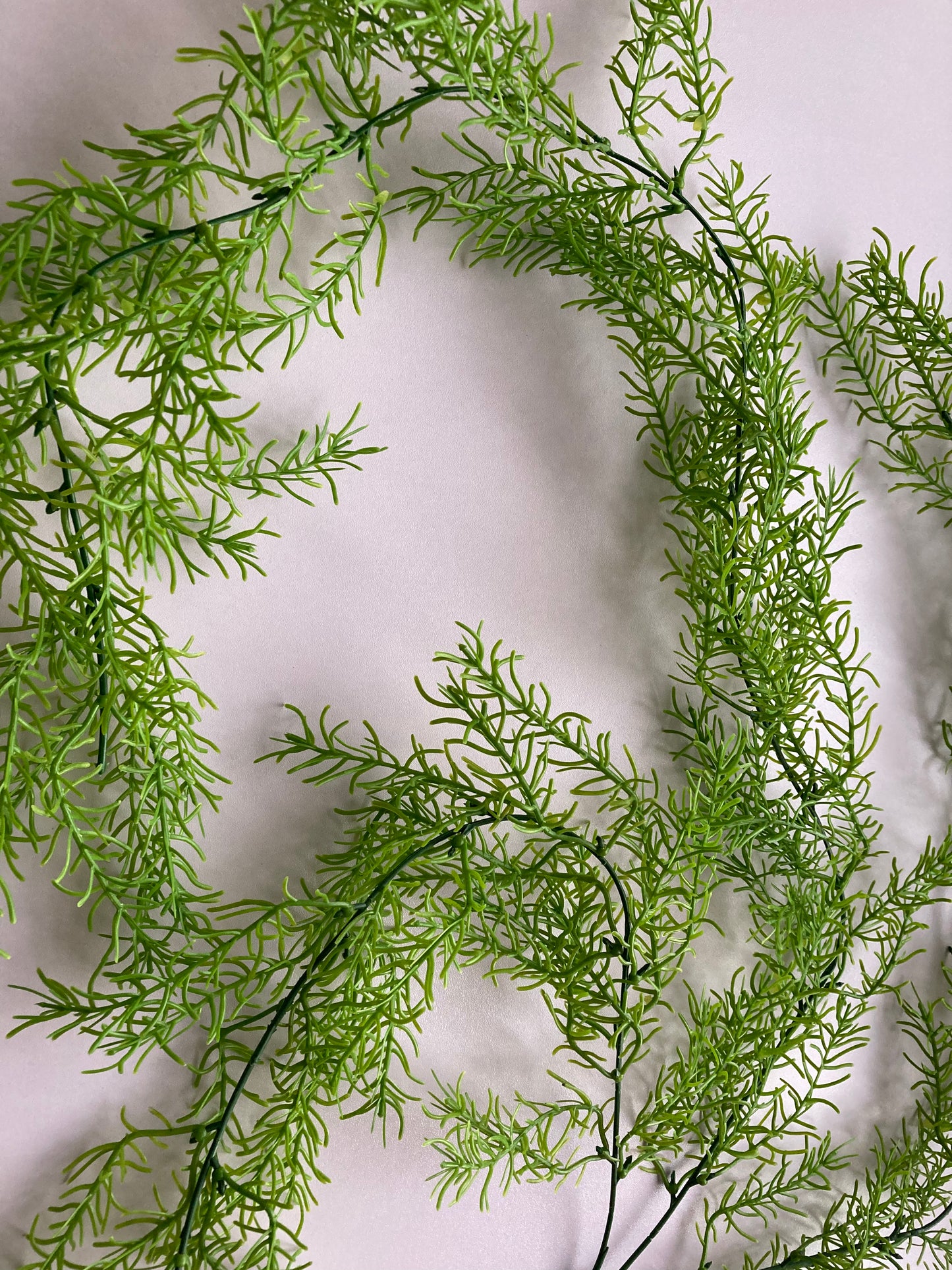 Long Trailing Foliage