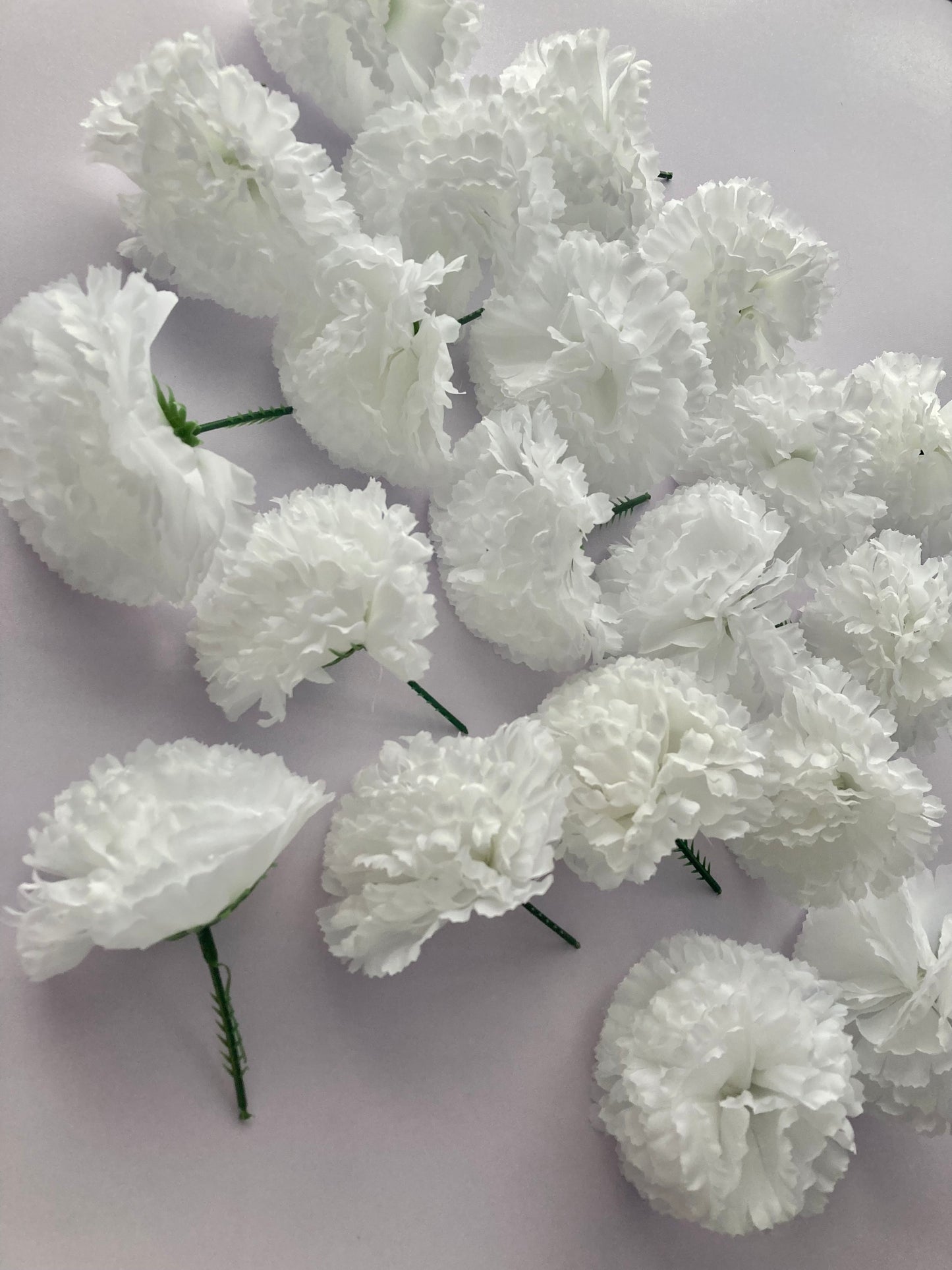 72 White Carnations