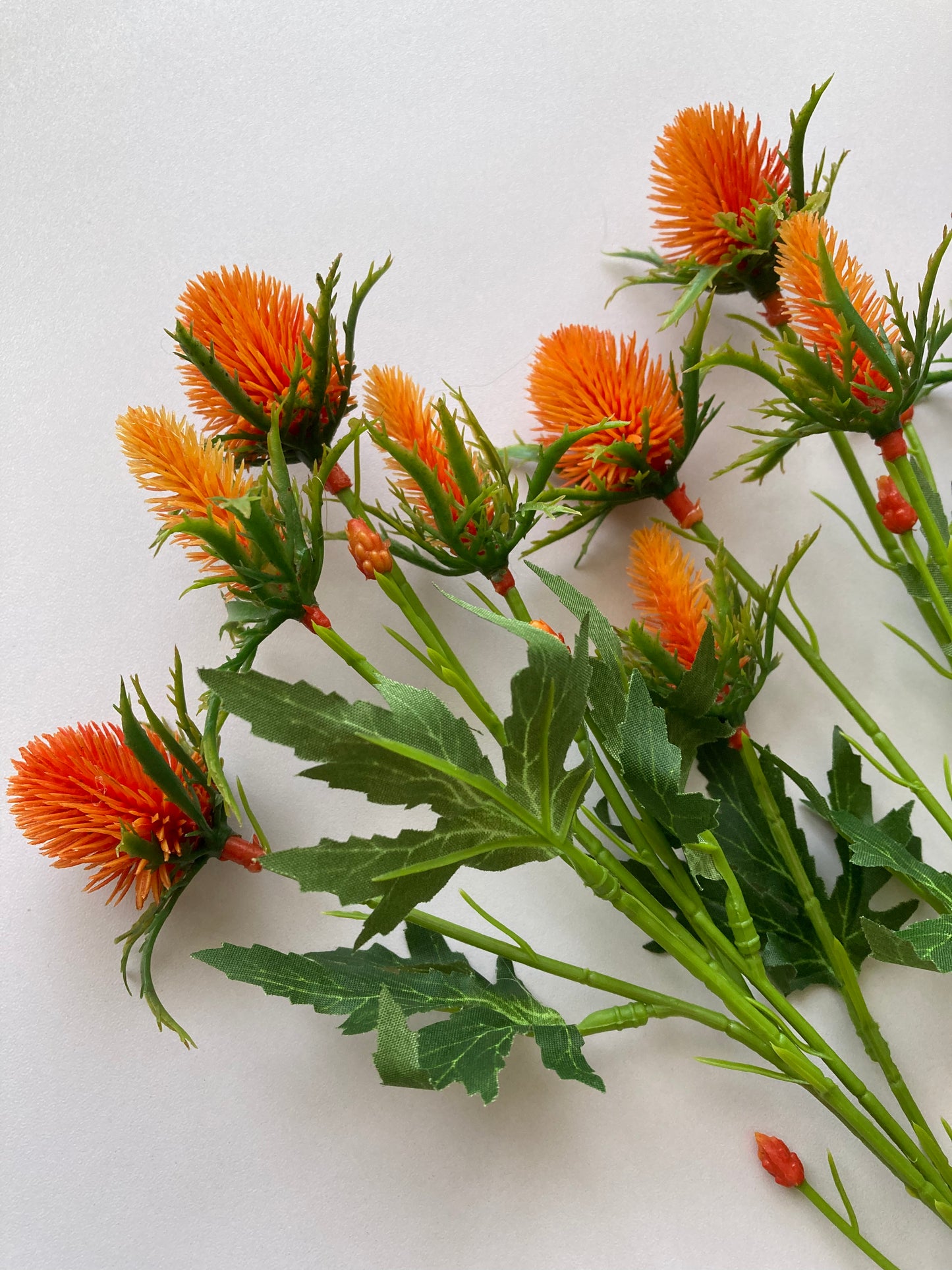 Orange Sea Holly Spray