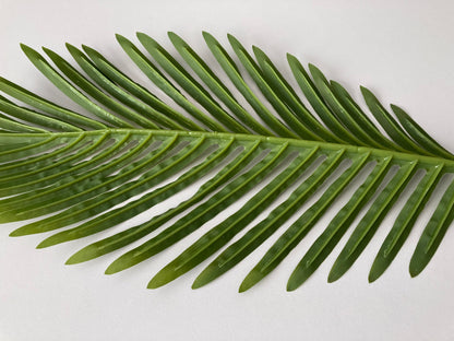 85cm Areca Palm Leaf