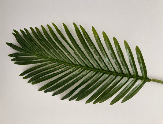 85cm Areca Palm Leaf