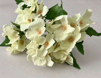 Ivory Hydrangea bunch