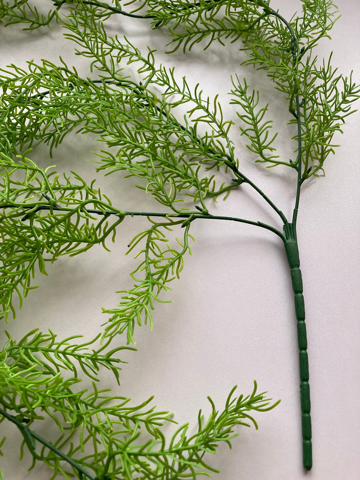 Long Trailing Foliage