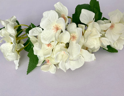 Ivory Hydrangea bunch