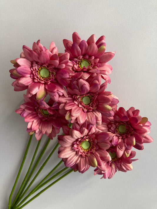 Mauve Gerbera Bunch