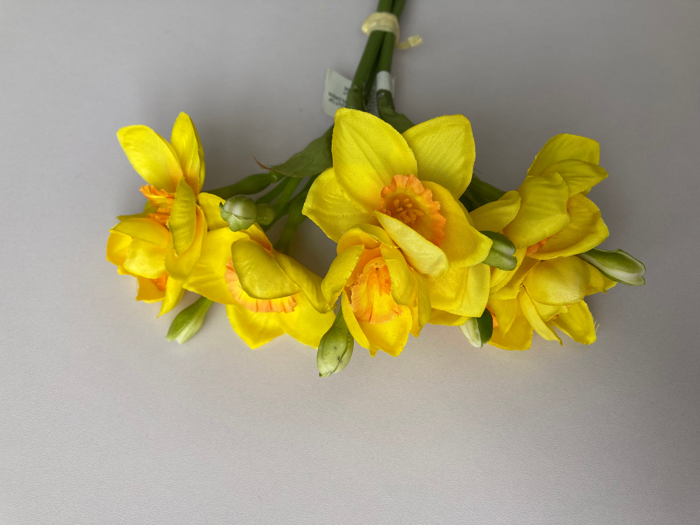 Small Daffodil Bunch