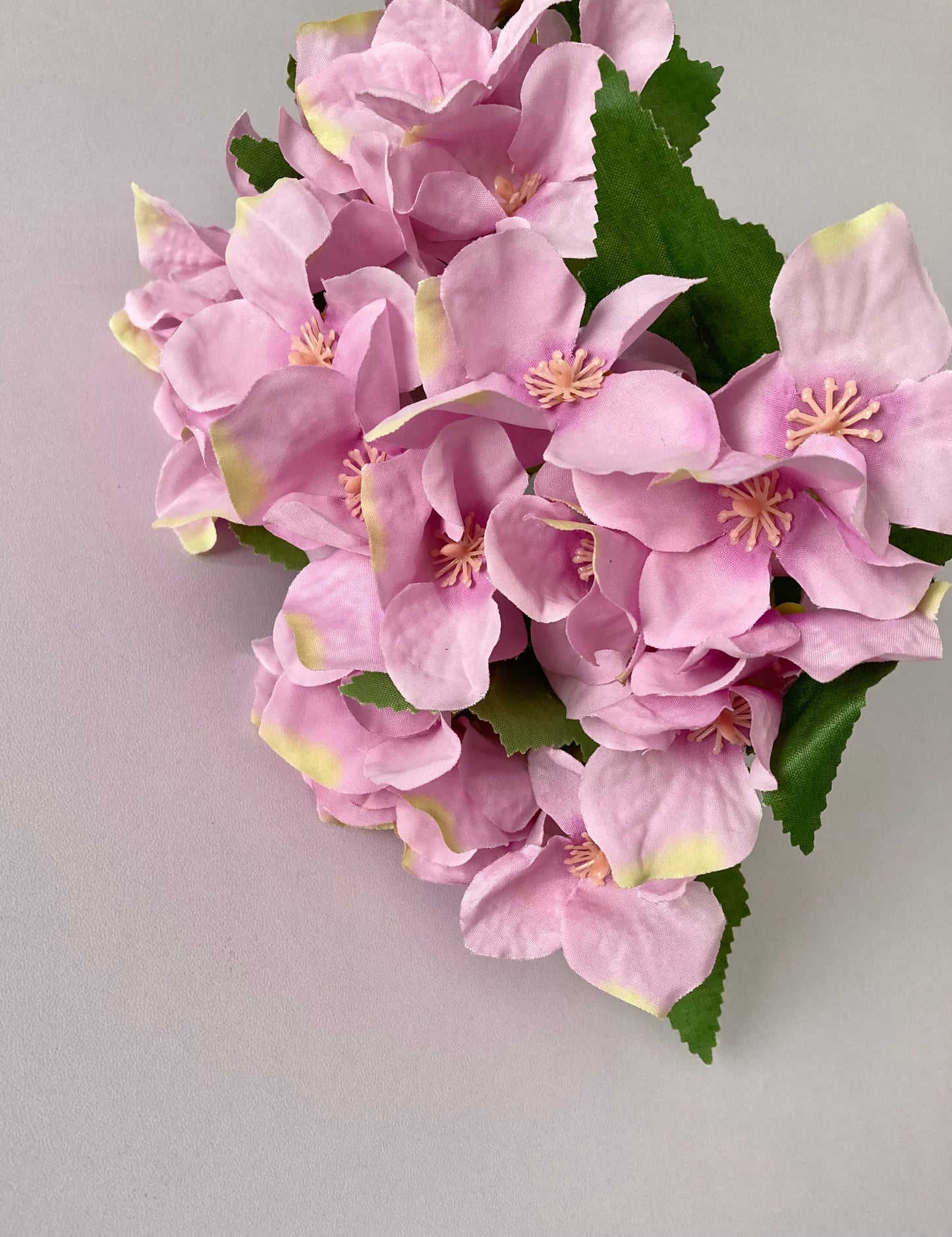 Lilac Hydrangea bunch