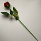 Red Velvet Rose Bud Stem