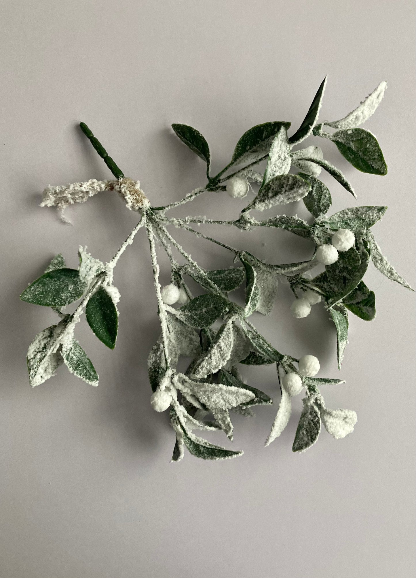 Snowy Hanging Mistletoe Bunch