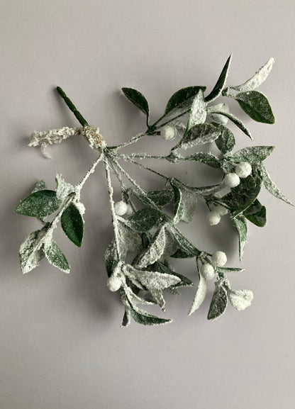 Snowy Hanging Mistletoe Bunch