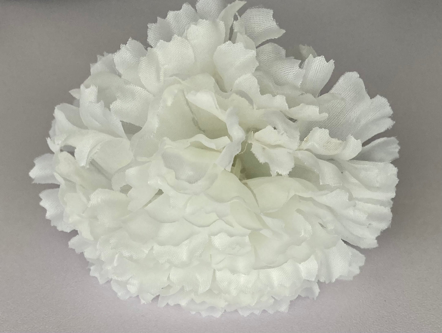 72 White Carnations