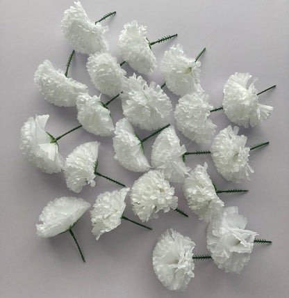 72 White Carnations