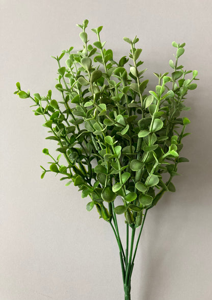 Mini Boxwood Bush Foliage