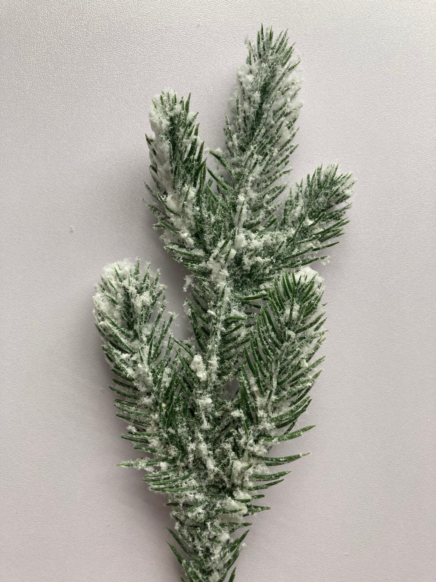 24cm Snowy Spruce Stem