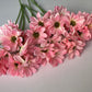 Pink Large Gerbera Bunch