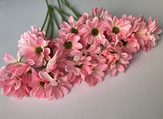 Pink Large Gerbera Bunch