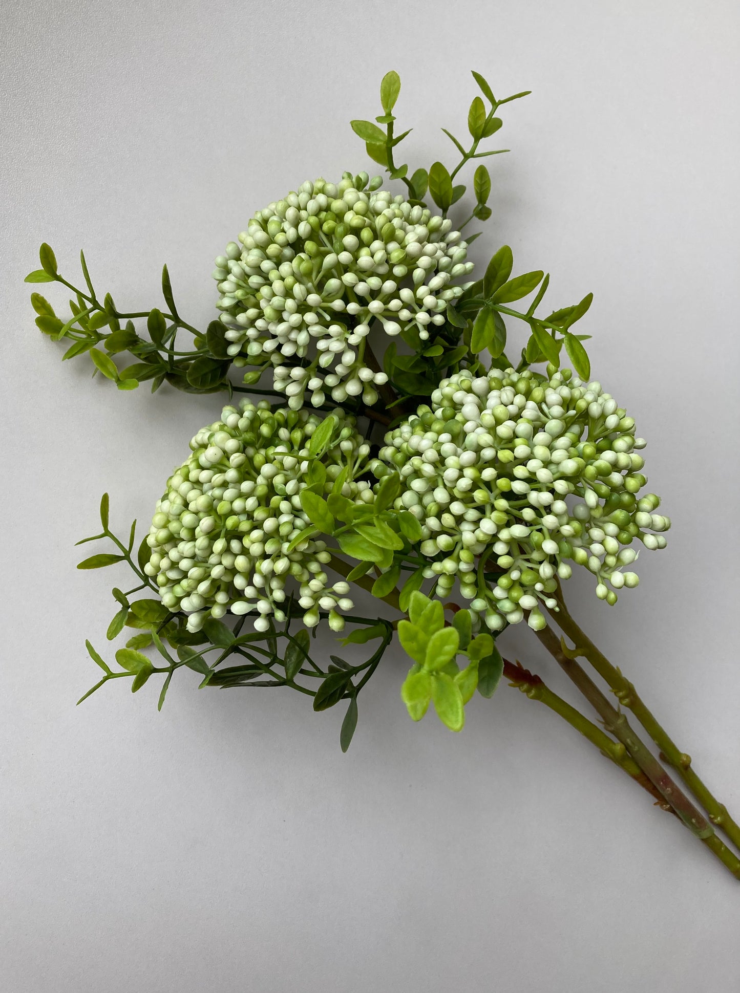White Cluster Berry 3 Stems