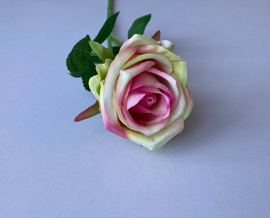 Pink & Green Small Rose