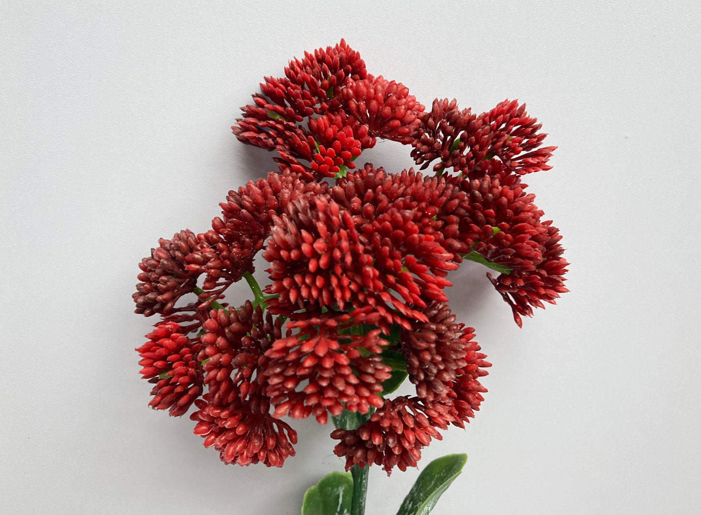 Deep Red Sedum Spray