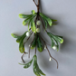 Door Hanging Mistletoe/Pick