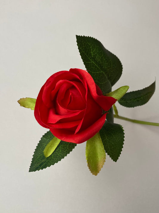 Short Stem Red Rose Bud