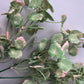 30cm Mixed Pink & Green Foliage Bunch