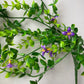 Purple Flowering Trailing