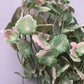 30cm Mixed Pink & Green Foliage Bunch