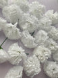 72 White Carnations