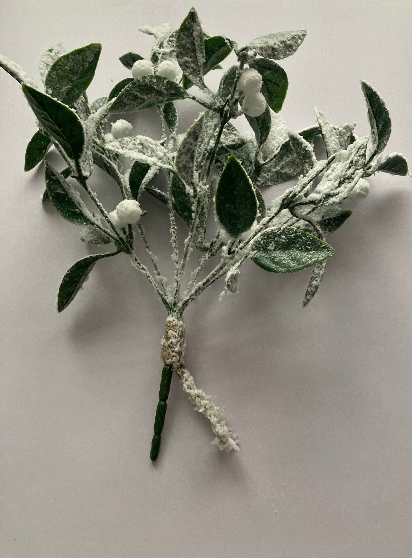 Snowy Hanging Mistletoe Bunch