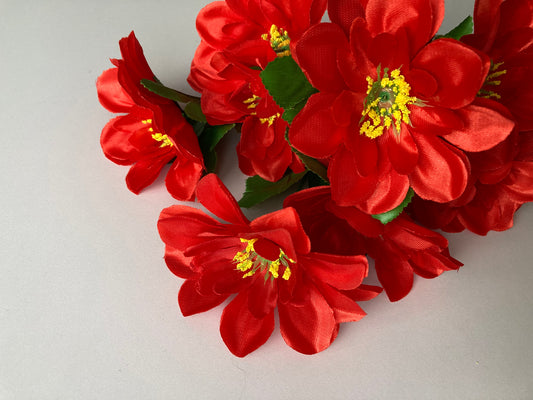 Red Dahlia Bunch