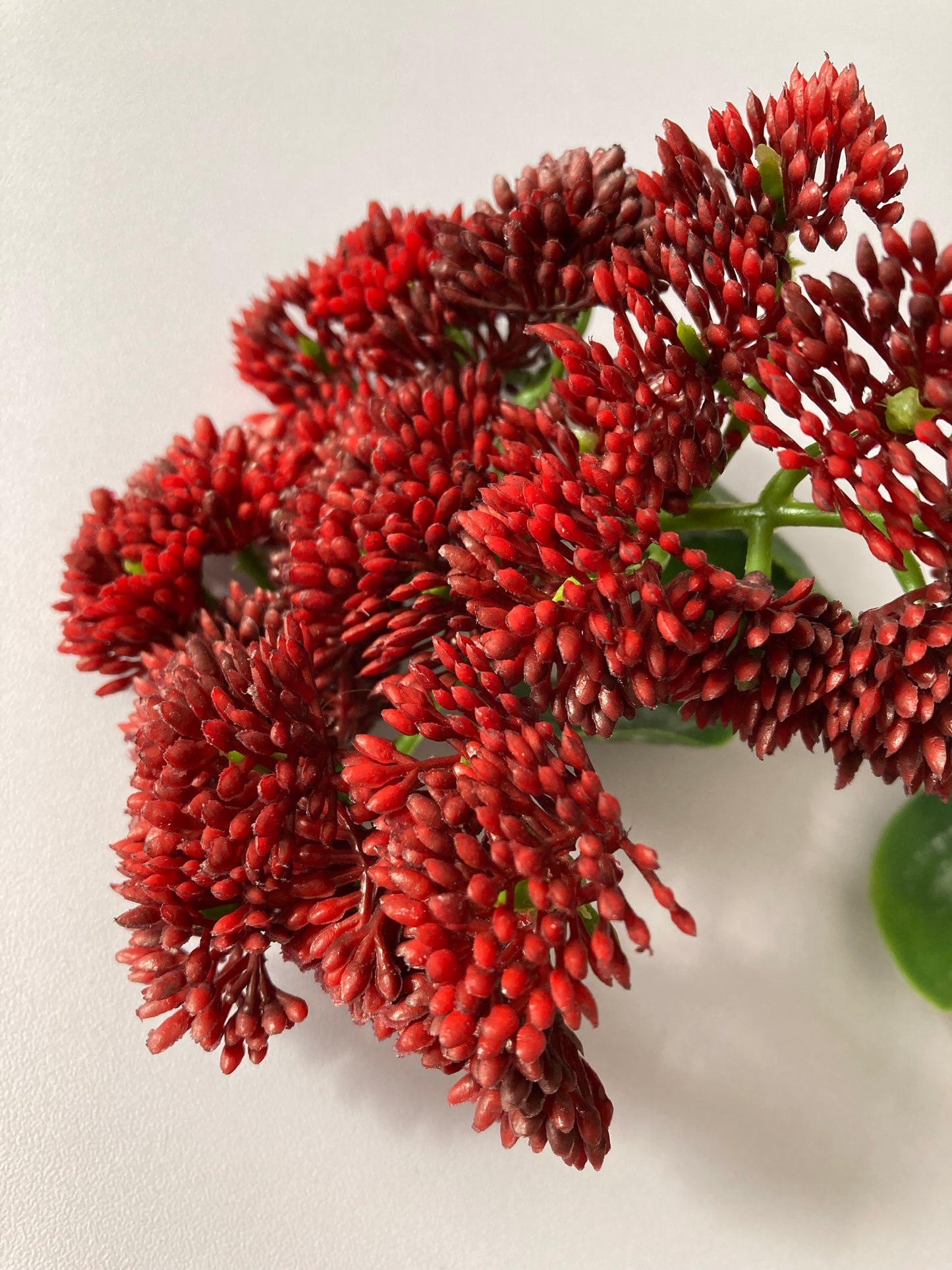 Deep Red Sedum Spray