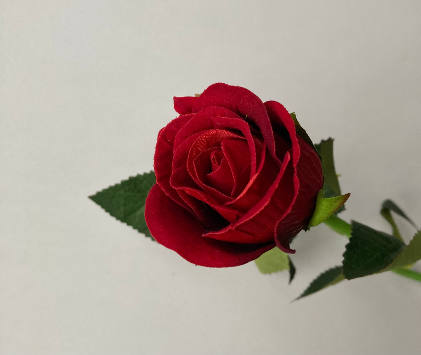 Red Velvet Rose Bud Stem