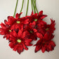 Red Gerbera Bunch