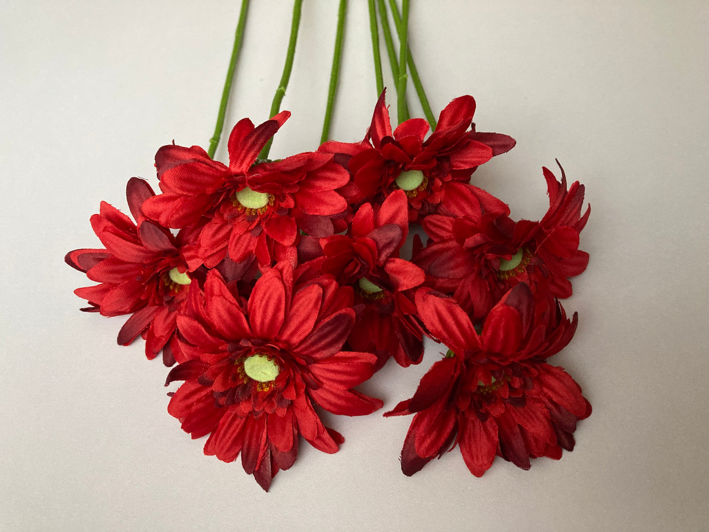 Red Gerbera Bunch