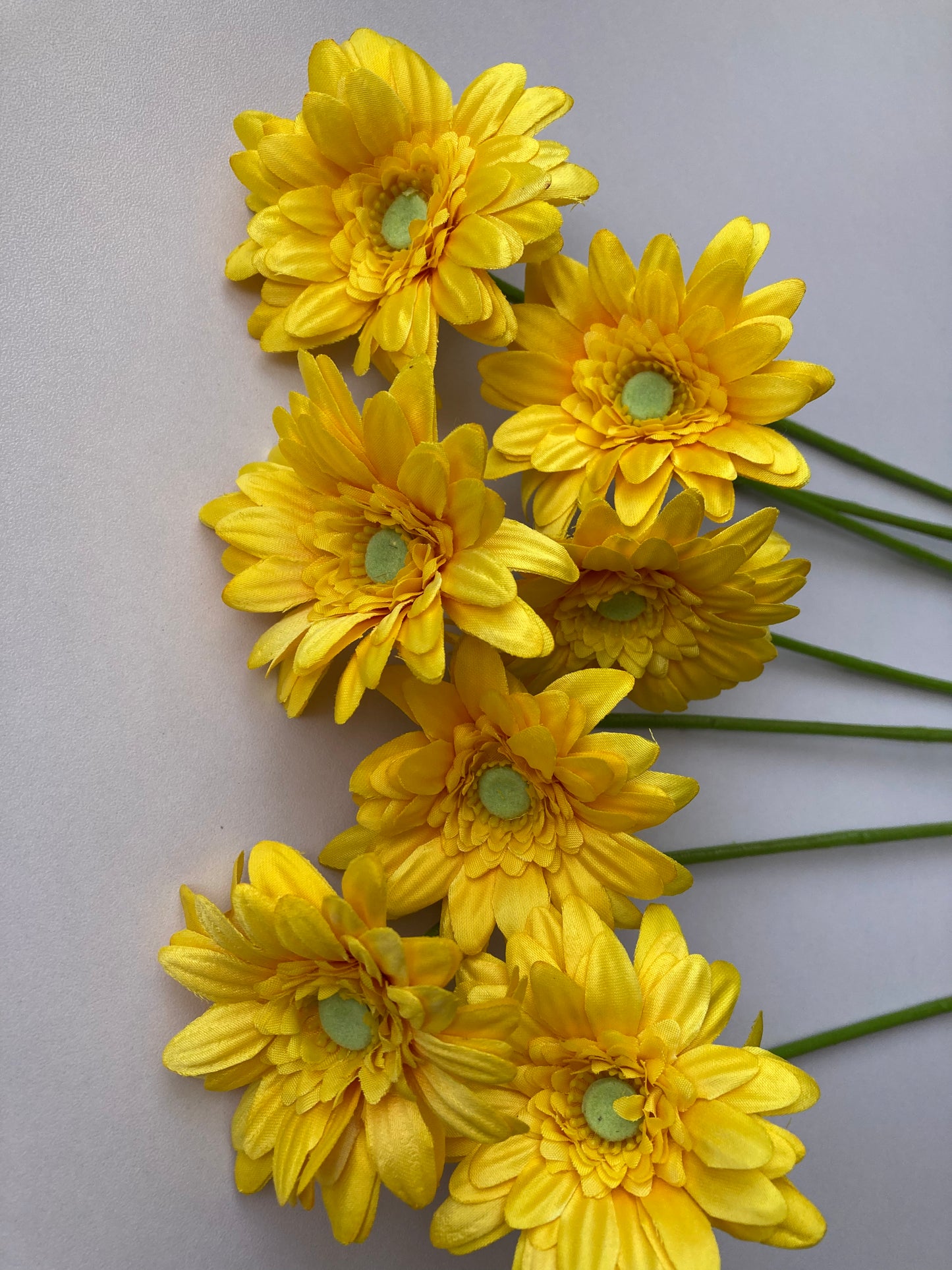 Yellow Gerbera Bunch