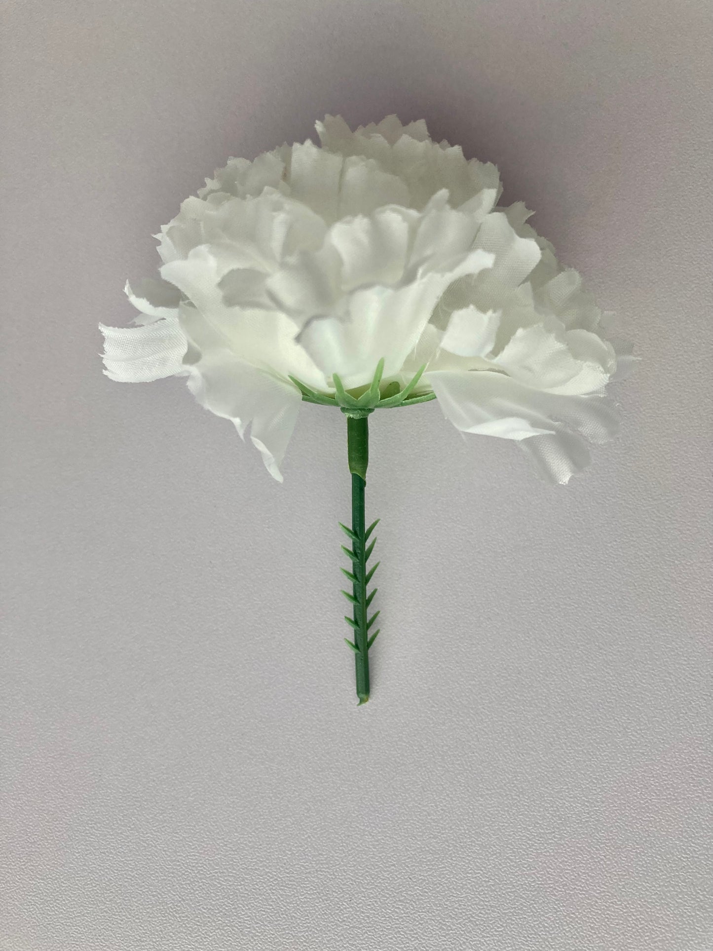 72 White Carnations