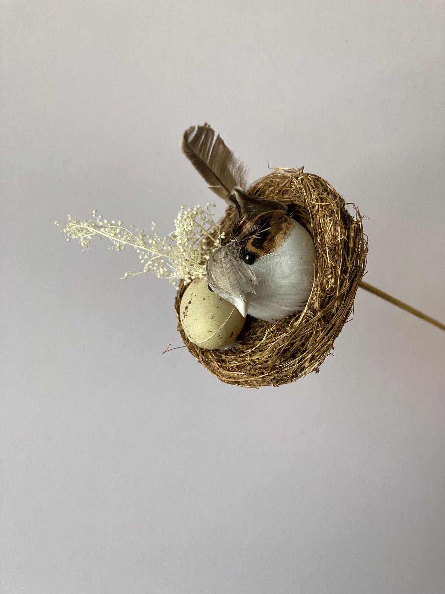 Bird Nest Pick