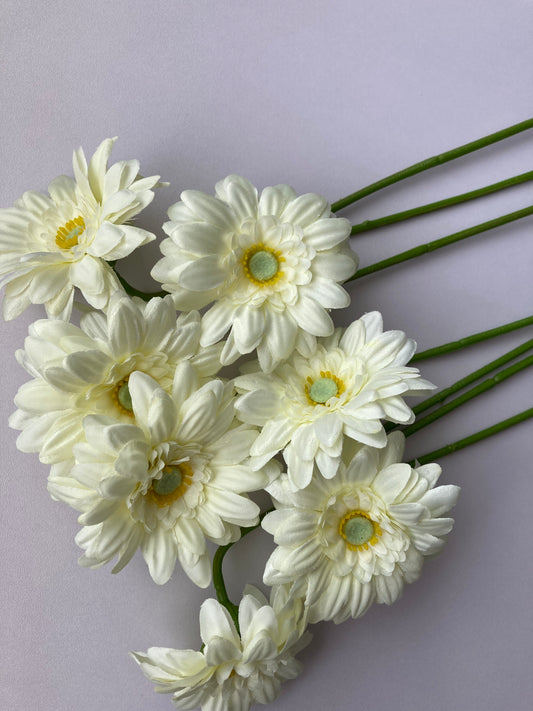 White Gerbera Bunch